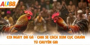 coi ngày đá gà